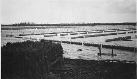 Flooded flax drying fields at Miranui Flaxmill, near Shannon