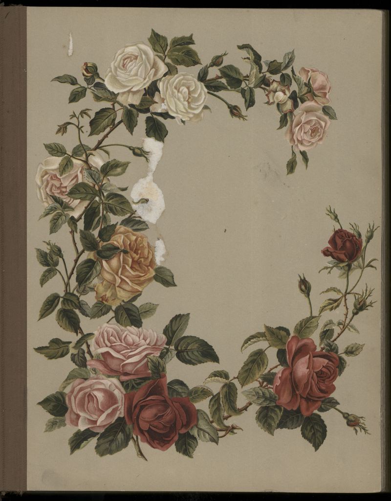 2020P_Monrad-S5V1_032984_002