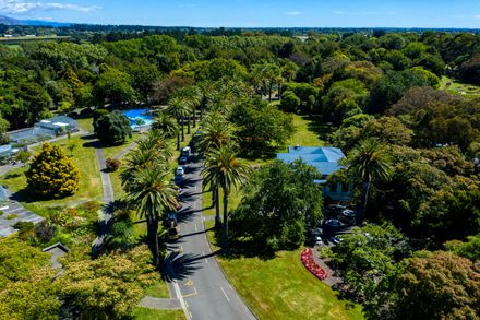 The Esplanade: Phoenix Palms lining Palm Drive and RSA Paddling Pool