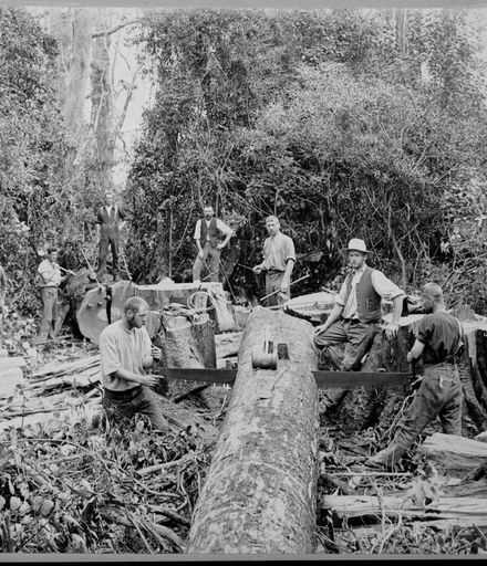 Sawing Timber for Railway Sleepers Along Opawe Road, Pohangina Valley