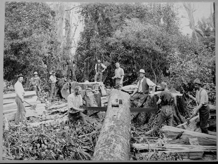 Sawing Timber for Railway Sleepers Along Opawe Road, Pohangina Valley