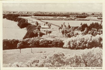 Poultry Farm, Massey Agricultural College - Resource cover image