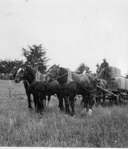 Wagonload of Wool Bales, Salisbury Road, Ashhurst