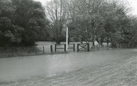 Bledisloe Park under water