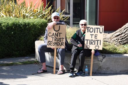 Hīkoi mō te Tiriti - Resource cover image
