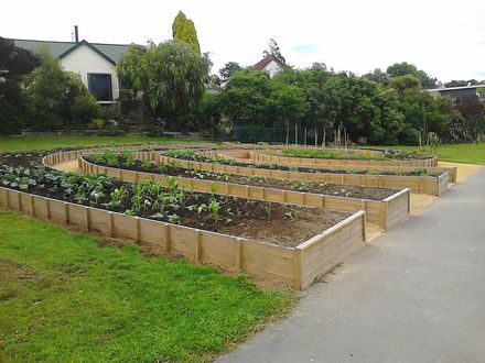 Community Garden, Norton Park