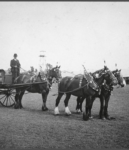 Gas Company dray at the Showground
