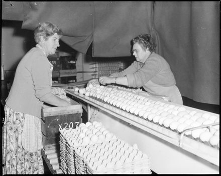 "Eggs, Eggs and More Eggs"