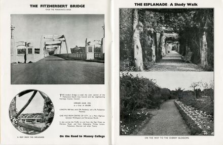 “Palmerston North: A Model Modern City’ promotion publication 4