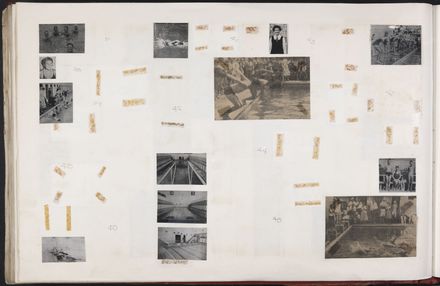 PN Amateur Swimming Club archive book