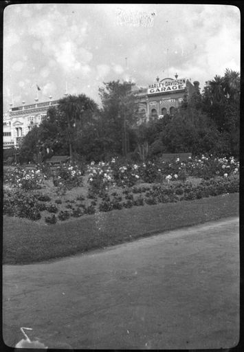 Rose Gardens in the Square