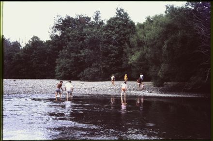 Camp Rangi Woods