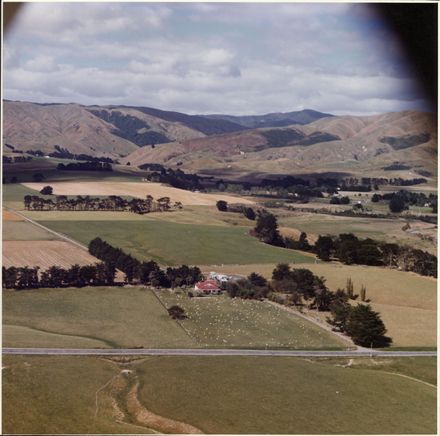 Aerial Photograph of Turitea
