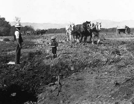 Jos Batchelar and son, ploughing at 'Willowbank' farm