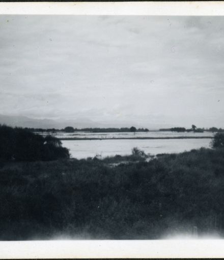 View of the Manawatu River, Rangiotu Flood