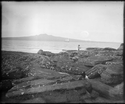 Rangitoto Island, Auckland - Resource cover image