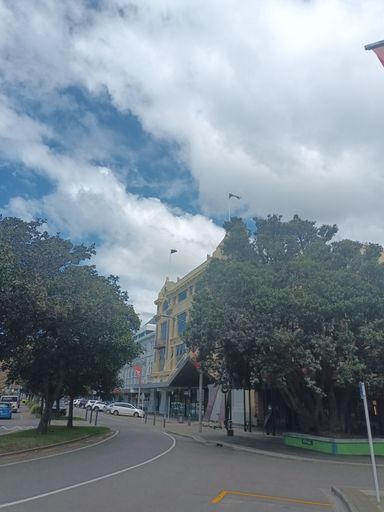 Te Wiki o te Reo Māori Flags Fly Over Palmerston North City Library