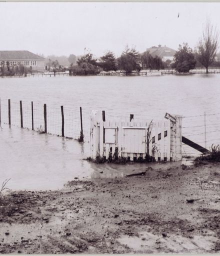 D.S.I.R. in flood