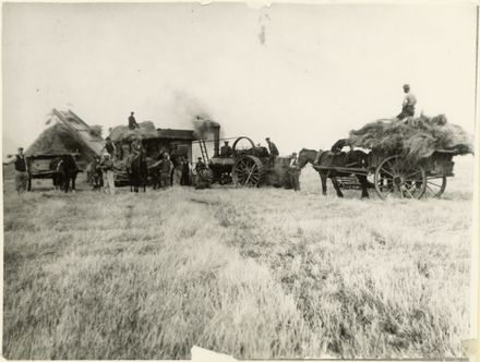 Threshing hay, Rongotea