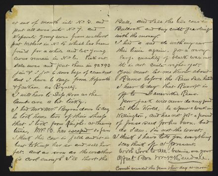 Letter to George Kendall from his brother, discussing farm activities and finances