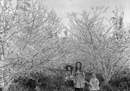 Three Monro children in orchard at 'Craiglockhart'