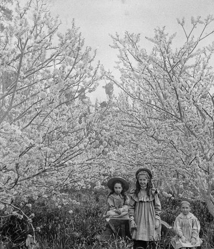 Three Monro children in orchard at 'Craiglockhart'