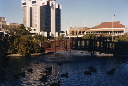 Bridge over Butterfly Lakelet, The Square