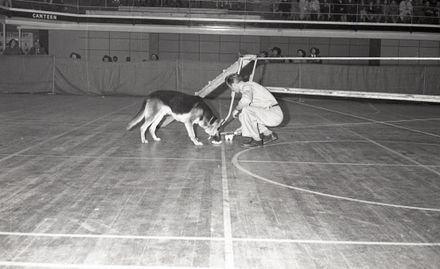 2024N_Goldingham_B3-F6_042034_002