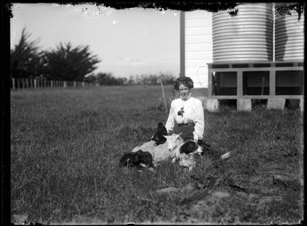 Woman with Dogs and Pet Sheep