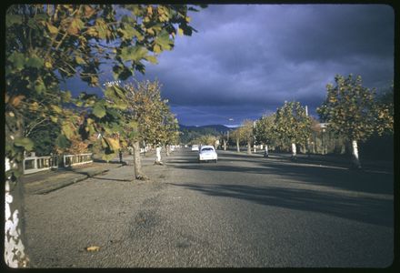 Unidentified Street Scene, Palmerston North (?)