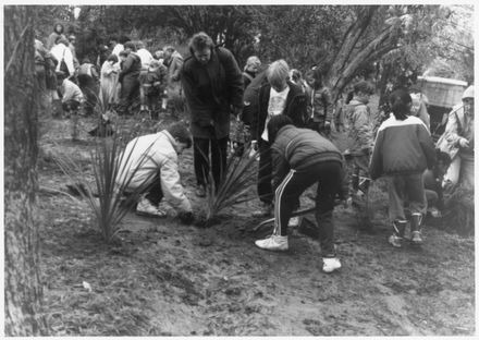 Native Tree planting at Awatea Park
