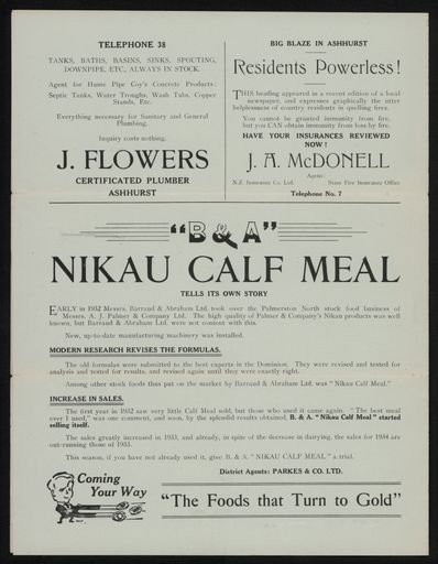 'Try Ashhurst First' newspaper 3