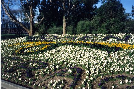 Women’s Suffrage Centennial flower garden, 1993