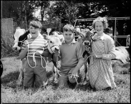 "Calf Club Winners" Fitzherbert East School