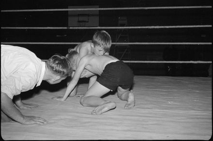 International Wrestling Contest