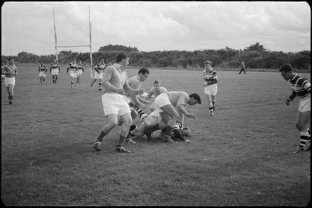 Focus on Sport: Rugby League