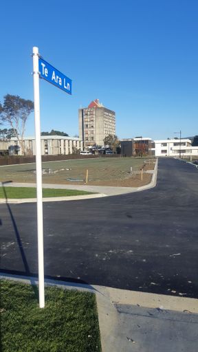 Te Ara Lane - Centennial Park, Hokowhitu - Resource cover image