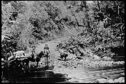 Transport of Provisions to the Kahuterawa Valley