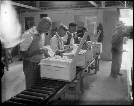 "Preparing Apples for Export" - Resource cover image