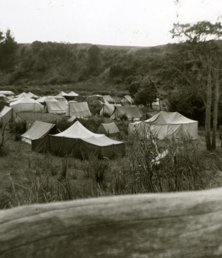 Roslyn Cub Camp