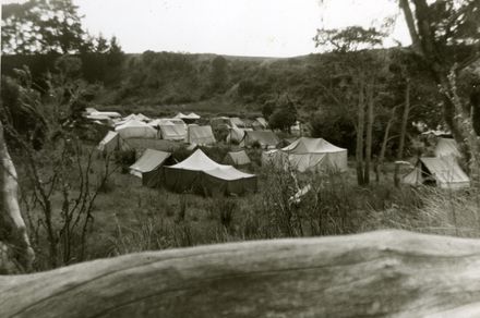 Roslyn Cub Camp