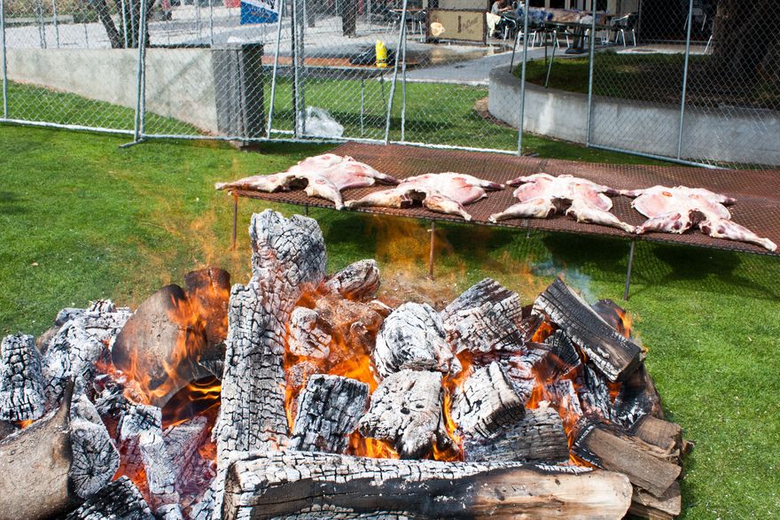 Our People, Our Place Festival - Rugby World Cup 2011