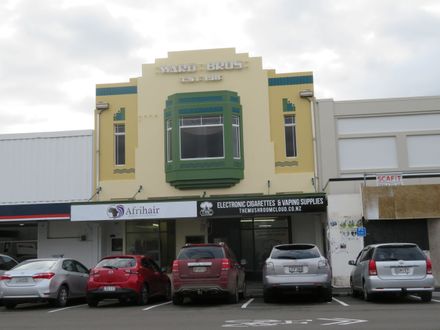 Ward Bros building, 213 Cuba Street Street - Resource cover image