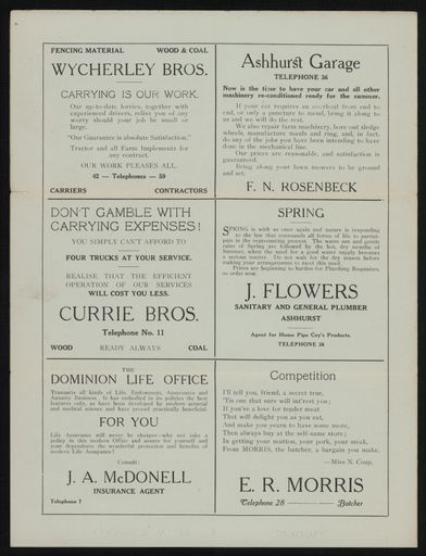 'Try Ashhurst First' newspaper 3