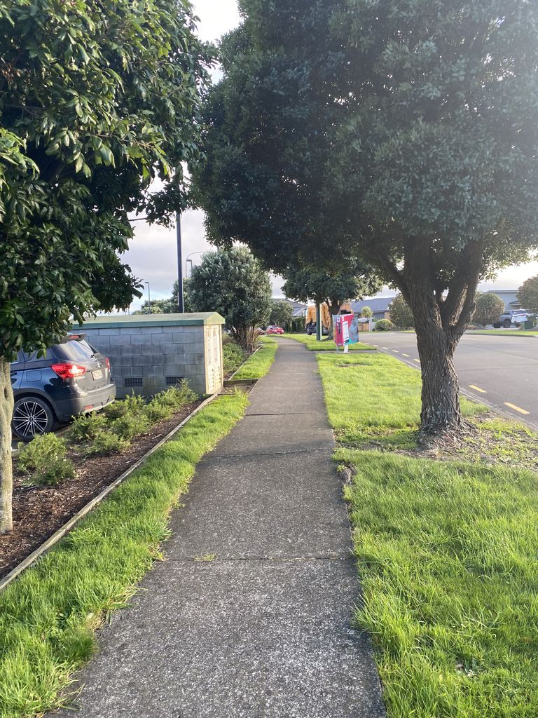 Palmerston North City Library Book Bin, Ruapehu Drive