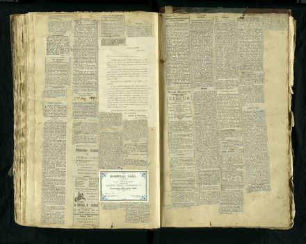 Louisa Snelson's Scrapbook - Page 97