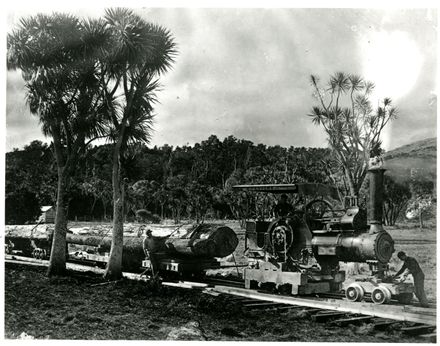 Logging Train