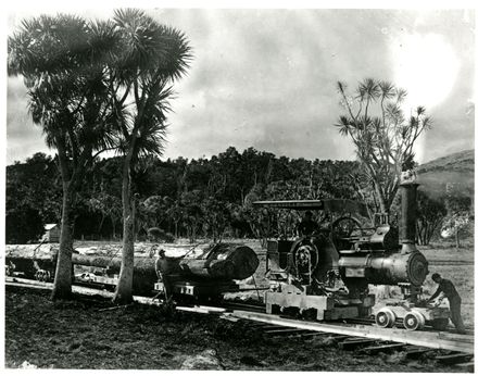 Logging Train