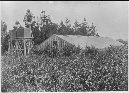 Nairn market garden, College Street