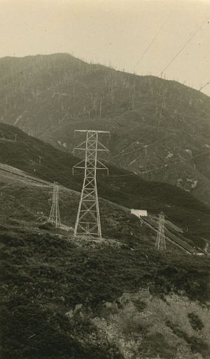 Electricity Pylons - Mangahao Electric Power Scheme